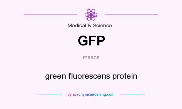 What does GFP mean? It stands for green fluorescens protein