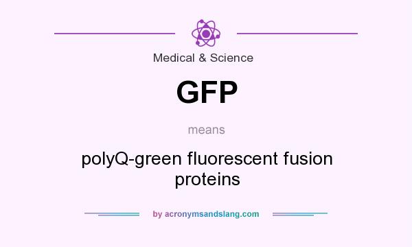 What does GFP mean? It stands for polyQ-green fluorescent fusion proteins