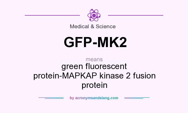 What does GFP-MK2 mean? It stands for green fluorescent protein-MAPKAP kinase 2 fusion protein