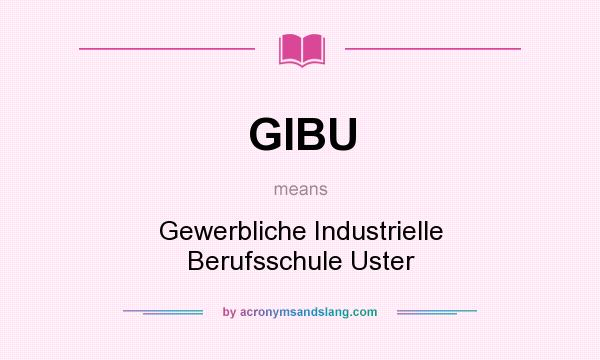 What does GIBU mean? It stands for Gewerbliche Industrielle Berufsschule Uster
