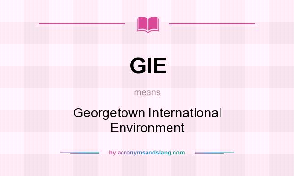 What does GIE mean? It stands for Georgetown International Environment