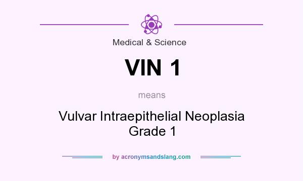 What does VIN 1 mean? It stands for Vulvar Intraepithelial Neoplasia Grade 1