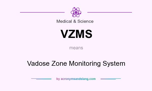 What does VZMS mean? It stands for Vadose Zone Monitoring System