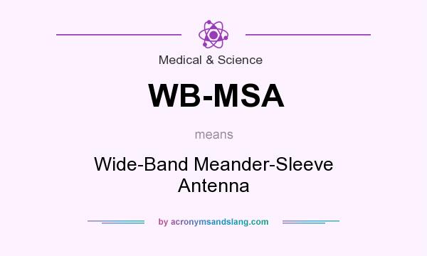 What does WB-MSA mean? It stands for Wide-Band Meander-Sleeve Antenna