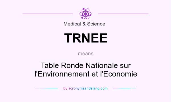 What does TRNEE mean? It stands for Table Ronde Nationale sur l`Environnement et l`Economie