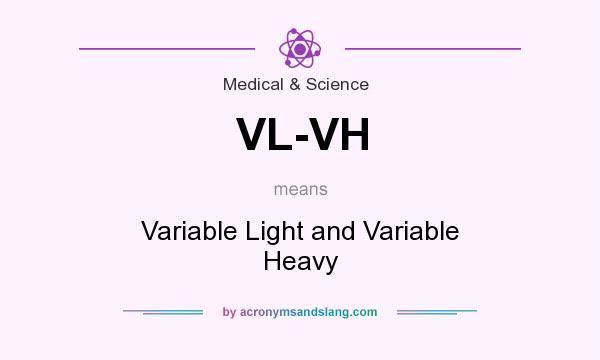 What does VL-VH mean? It stands for Variable Light and Variable Heavy