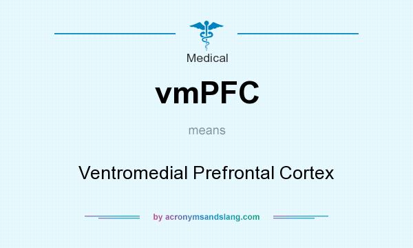 What does vmPFC mean? It stands for Ventromedial Prefrontal Cortex