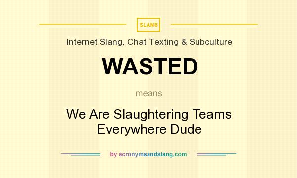 What does WASTED mean? It stands for We Are Slaughtering Teams Everywhere Dude