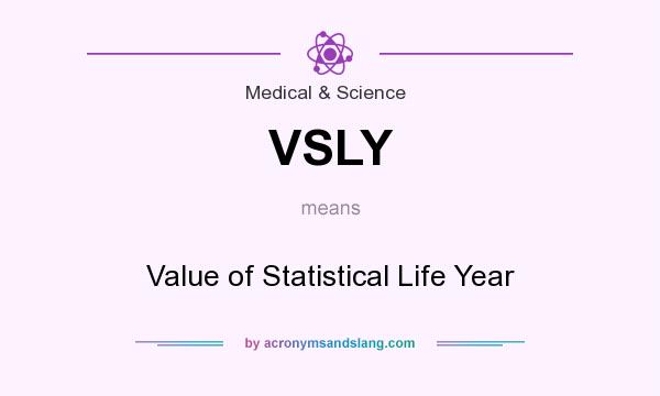What does VSLY mean? It stands for Value of Statistical Life Year