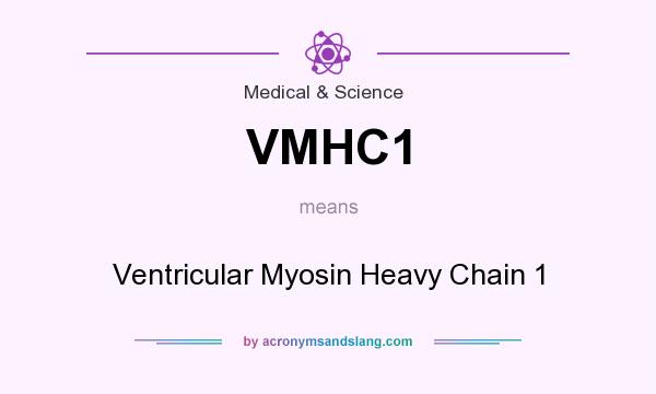 What does VMHC1 mean? It stands for Ventricular Myosin Heavy Chain 1