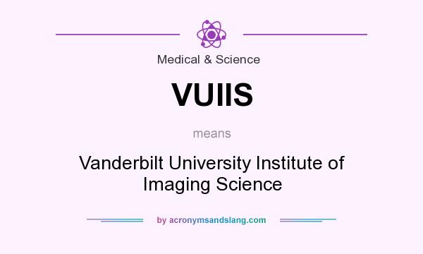 What does VUIIS mean? It stands for Vanderbilt University Institute of Imaging Science