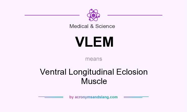 What does VLEM mean? It stands for Ventral Longitudinal Eclosion Muscle