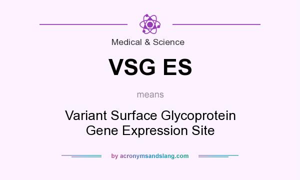 What does VSG ES mean? It stands for Variant Surface Glycoprotein Gene Expression Site