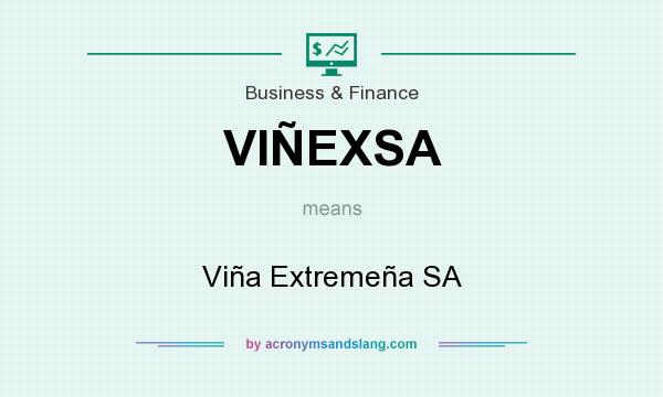 What does VIÑEXSA mean? It stands for Viña Extremeña SA