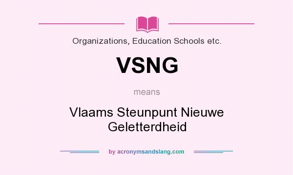 What does VSNG mean? It stands for Vlaams Steunpunt Nieuwe Geletterdheid