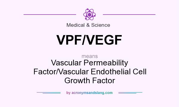 What does VPF/VEGF mean? It stands for Vascular Permeability Factor/Vascular Endothelial Cell Growth Factor