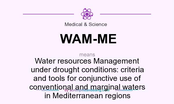 What does WAM-ME mean? It stands for Water resources Management under drought conditions: criteria and tools for conjunctive use of conventional and marginal waters in Mediterranean regions