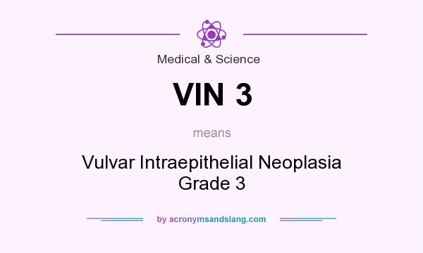 What does VIN 3 mean? It stands for Vulvar Intraepithelial Neoplasia Grade 3