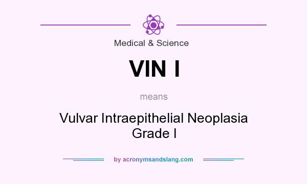 What does VIN I mean? It stands for Vulvar Intraepithelial Neoplasia Grade I