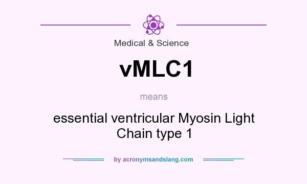 What does vMLC1 mean? It stands for essential ventricular Myosin Light Chain type 1