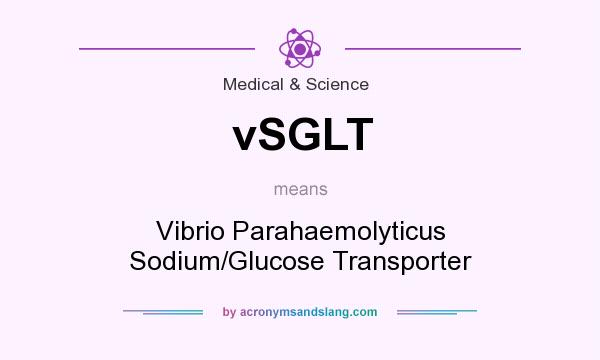 What does vSGLT mean? It stands for Vibrio Parahaemolyticus Sodium/Glucose Transporter