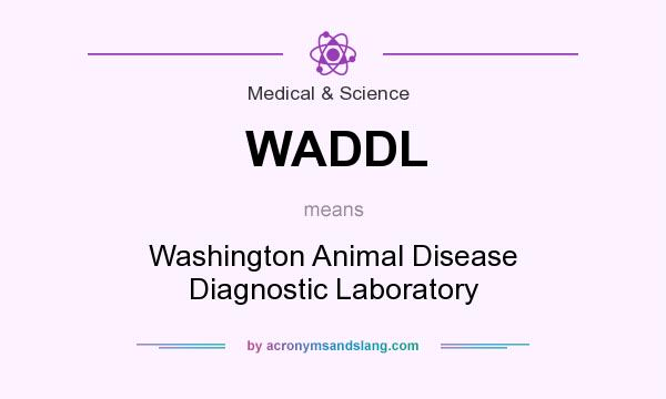 What does WADDL mean? It stands for Washington Animal Disease Diagnostic Laboratory