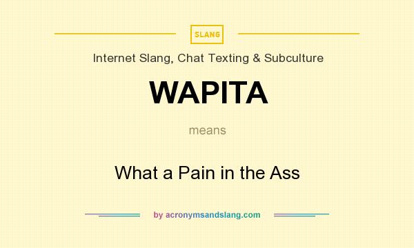 What does WAPITA mean? It stands for What a Pain in the Ass