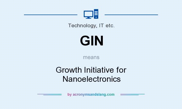 What does GIN mean? It stands for Growth Initiative for Nanoelectronics