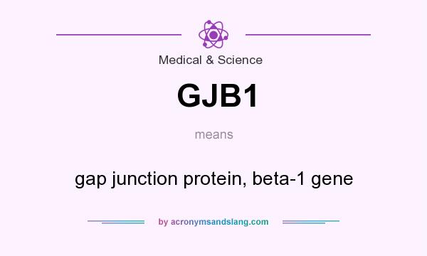 What does GJB1 mean? It stands for gap junction protein, beta-1 gene