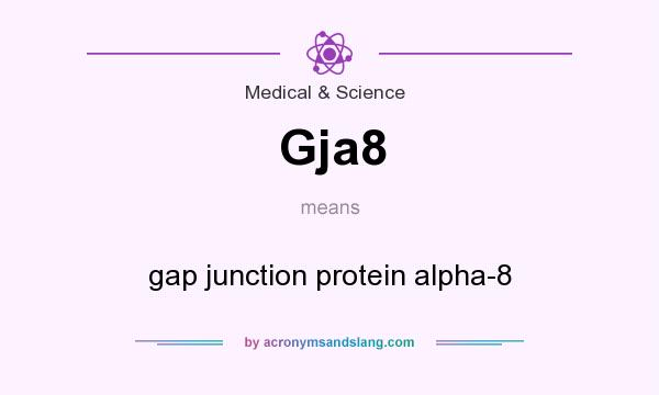 What does Gja8 mean? It stands for gap junction protein alpha-8