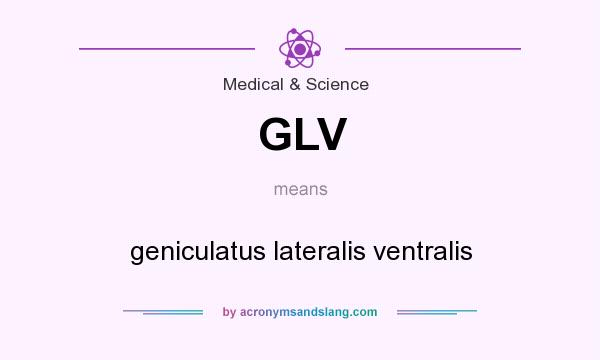 What does GLV mean? It stands for geniculatus lateralis ventralis