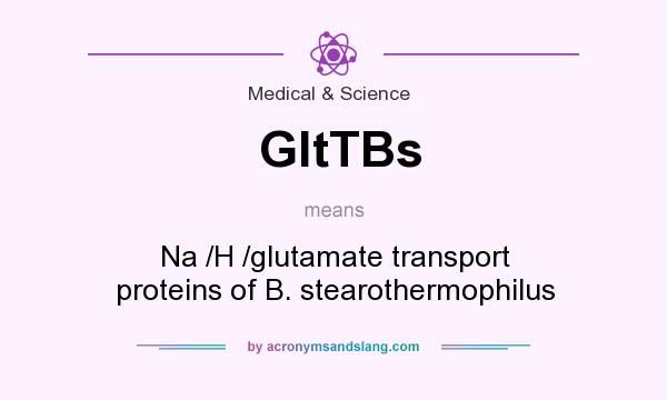 What does GltTBs mean? It stands for Na /H /glutamate transport proteins of B. stearothermophilus