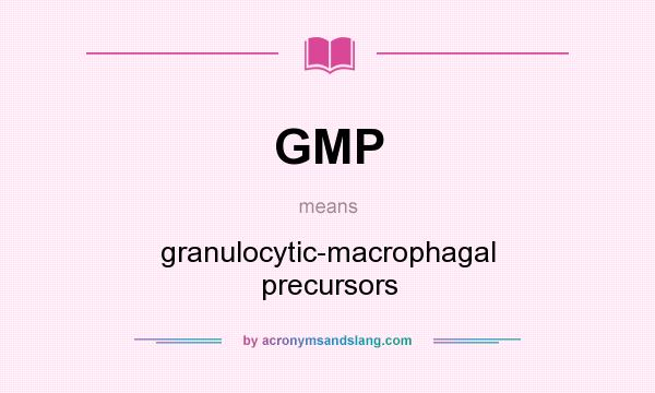 What does GMP mean? It stands for granulocytic-macrophagal precursors