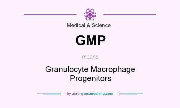 What does GMP mean? It stands for Granulocyte Macrophage Progenitors