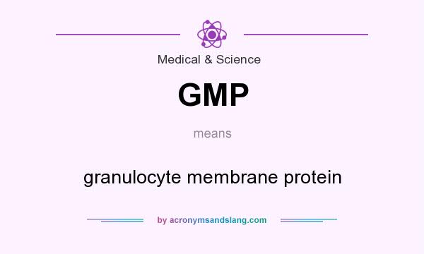 What does GMP mean? It stands for granulocyte membrane protein