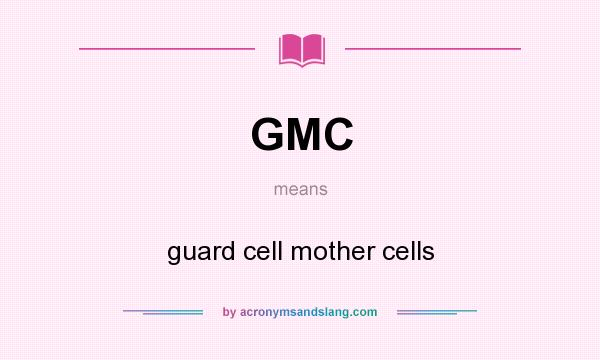 What does GMC mean? It stands for guard cell mother cells