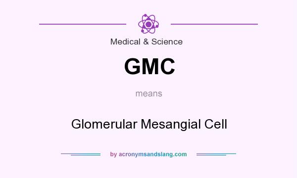 What does GMC mean? It stands for Glomerular Mesangial Cell