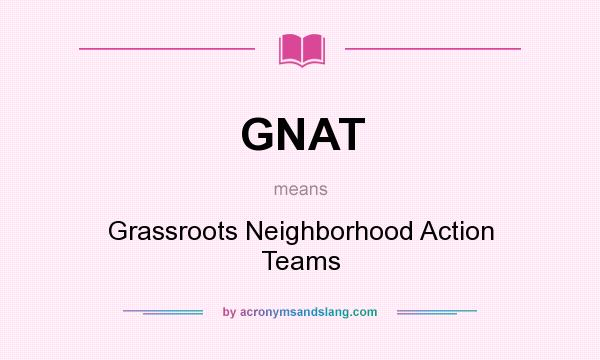 What does GNAT mean? It stands for Grassroots Neighborhood Action Teams