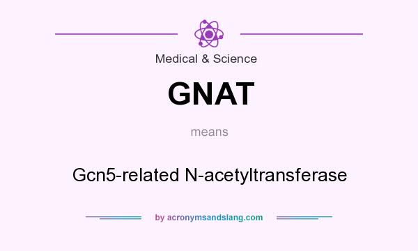 What does GNAT mean? It stands for Gcn5-related N-acetyltransferase