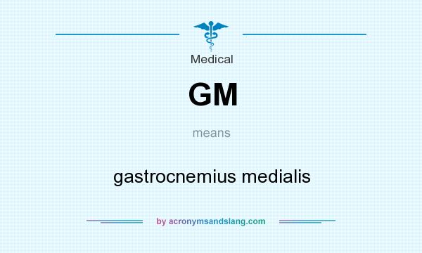 What does GM mean? It stands for gastrocnemius medialis