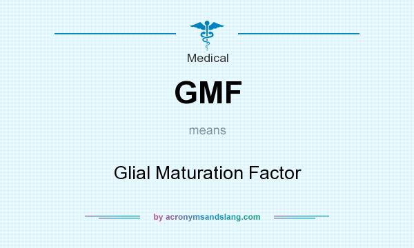 What does GMF mean? It stands for Glial Maturation Factor