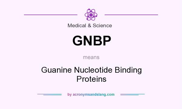 What does GNBP mean? It stands for Guanine Nucleotide Binding Proteins