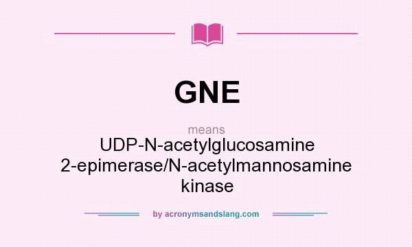 What does GNE mean? It stands for UDP-N-acetylglucosamine 2-epimerase/N-acetylmannosamine kinase