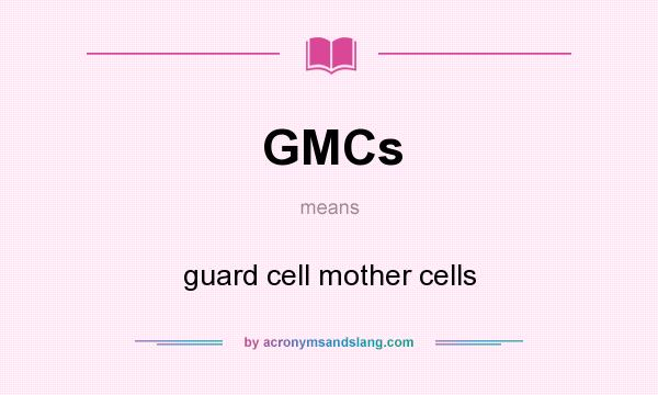 What does GMCs mean? It stands for guard cell mother cells