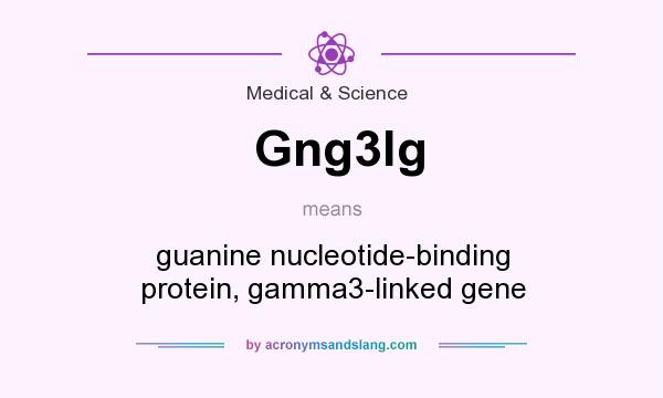 What does Gng3lg mean? It stands for guanine nucleotide-binding protein, gamma3-linked gene