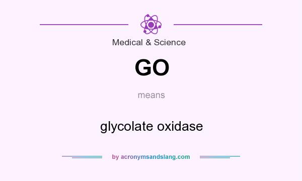 What does GO mean? It stands for glycolate oxidase