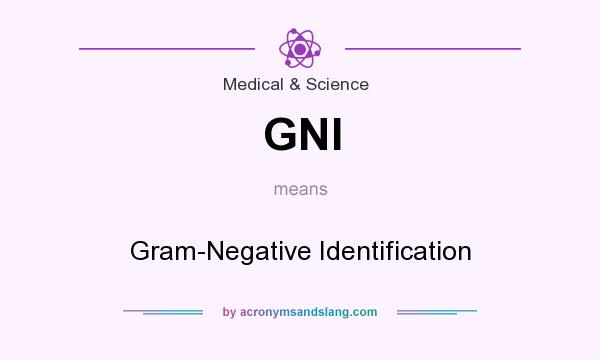 What does GNI mean? It stands for Gram-Negative Identification