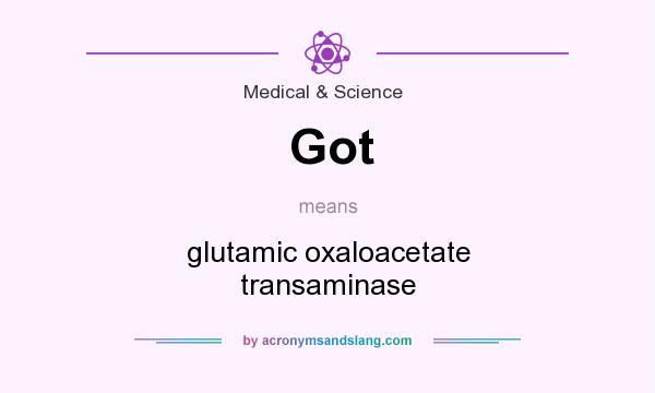What does Got mean? It stands for glutamic oxaloacetate transaminase