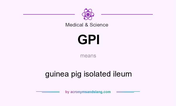 What does GPI mean? It stands for guinea pig isolated ileum
