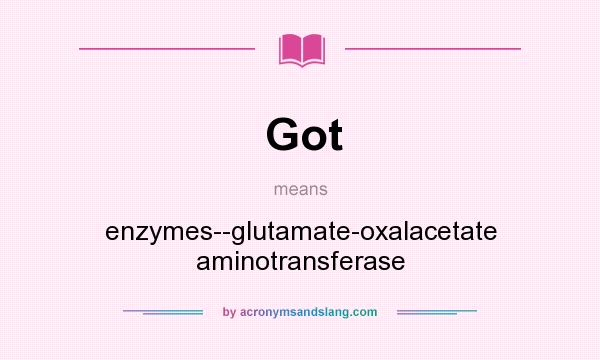 What does Got mean? It stands for enzymes--glutamate-oxalacetate aminotransferase